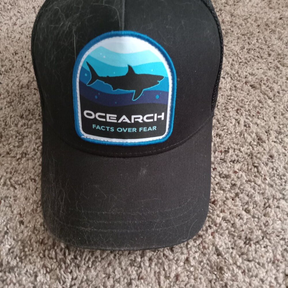 shark hat